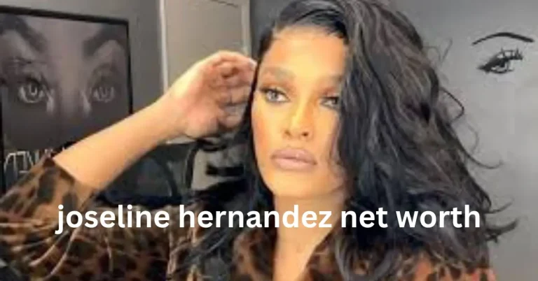 joseline hernandez net worth